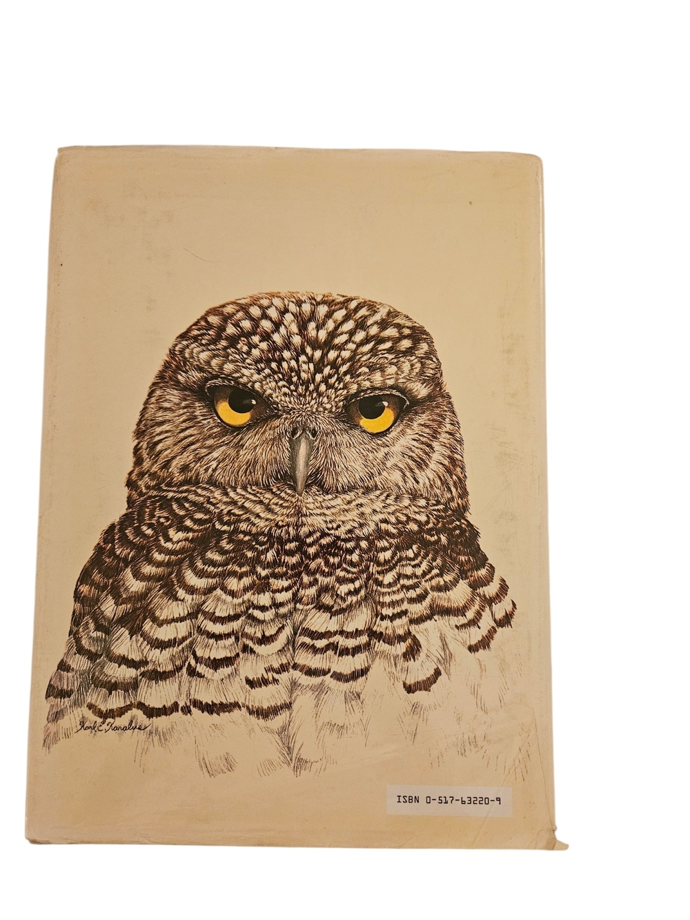 Vintage The Owls of North America Coffee Table Book — cream, brown, black - Picture 3 of 8